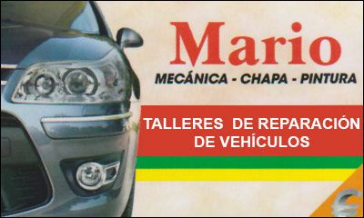 Talleres Mario